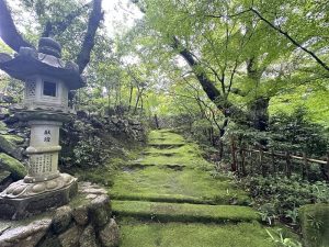 緑豊かな山道脇